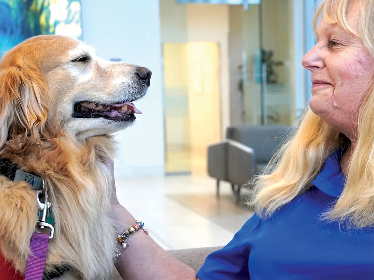Therapy dogs from SHARP HealthCare visiting a hospital as part of HASDIC wellness program